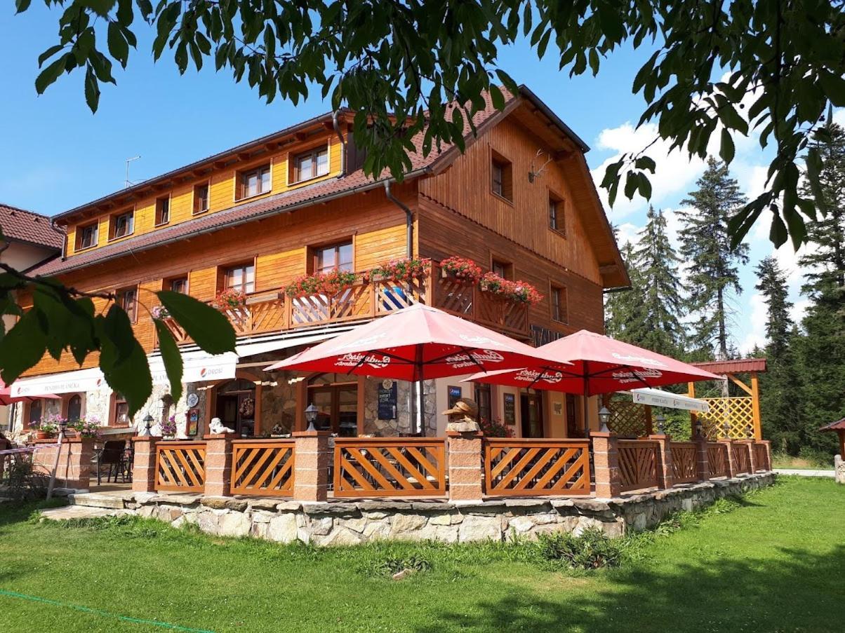 Penzion Planicka Cerna v Posumavi Exterior foto